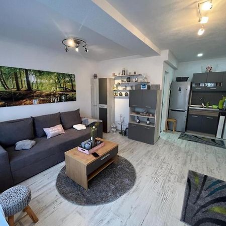 Apartament Acasa Sf.Gheorghe Sfantu Gheorghe  Ngoại thất bức ảnh