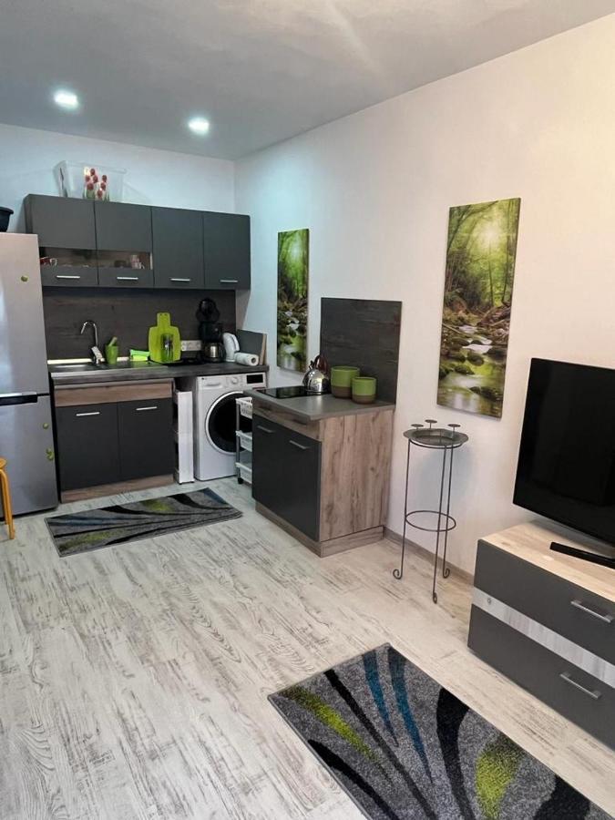 Apartament Acasa Sf.Gheorghe Sfantu Gheorghe  Ngoại thất bức ảnh