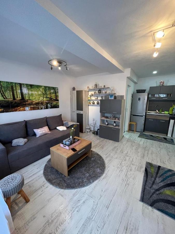 Apartament Acasa Sf.Gheorghe Sfantu Gheorghe  Ngoại thất bức ảnh